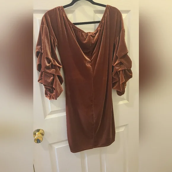 Fashion Nova Brown Velvet Ruffled Sleeve Mini Dress - Picture 3 of 3